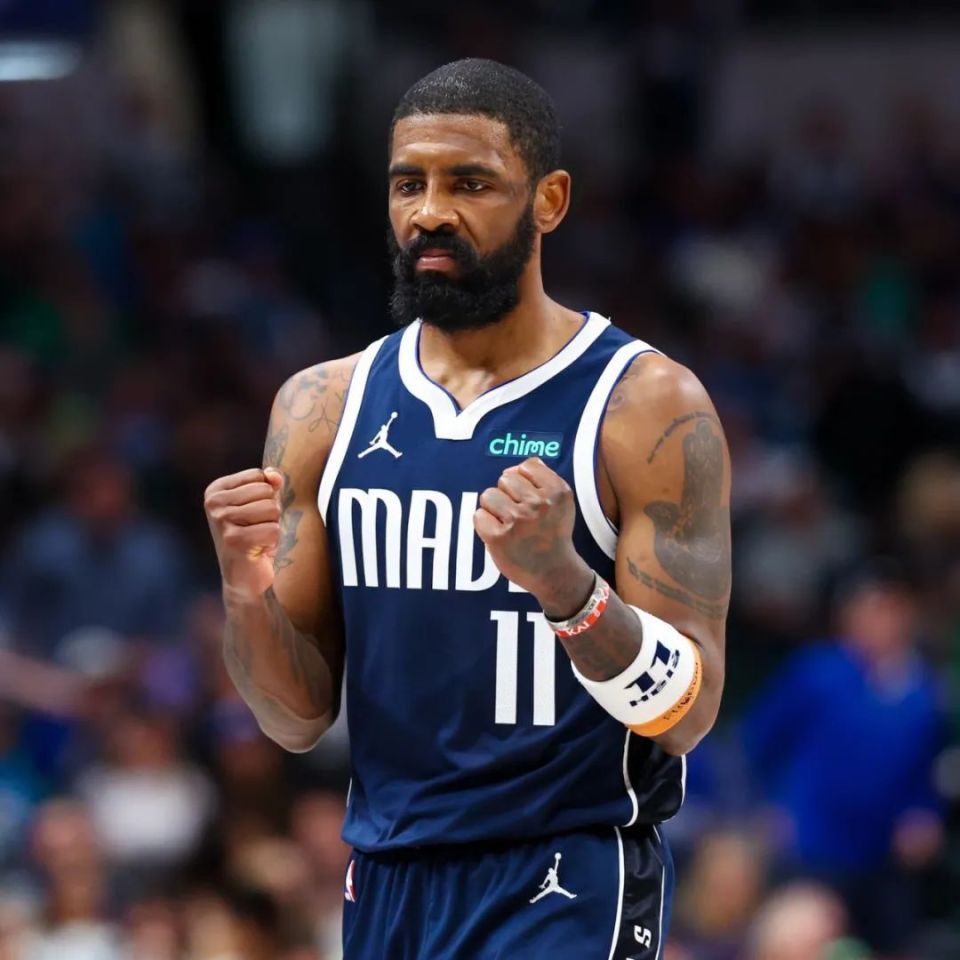 或队长的象 或队长的象